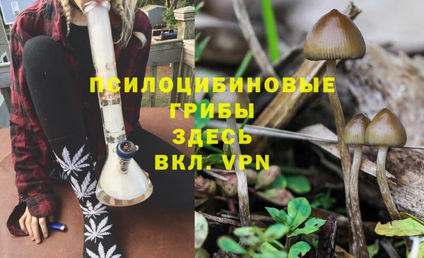 2c-b Кодинск