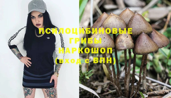 2c-b Кодинск