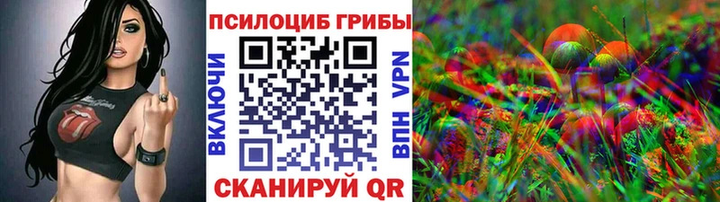 Галлюциногенные грибы Magic Shrooms  hydra ТОР  Новочебоксарск 
