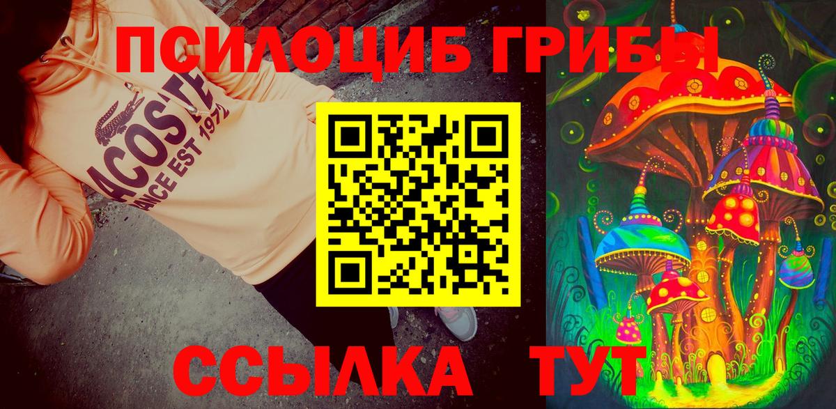 Новочебоксарск  Галлюциногенные грибы Magic Shrooms  Вход с VPN  Псилоцибиновые грибы ЛСД 
