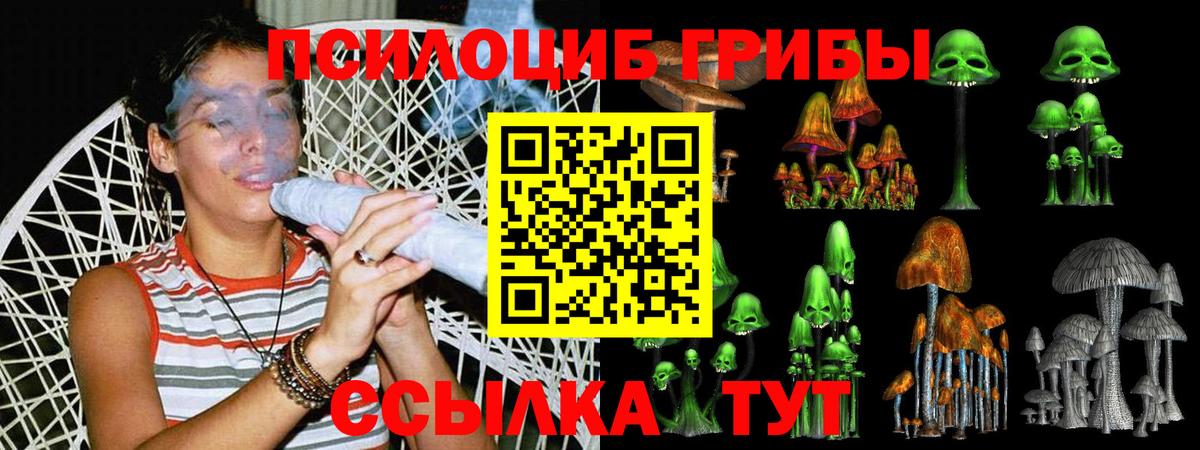 Псилоцибиновые грибы мицелий Новочебоксарск